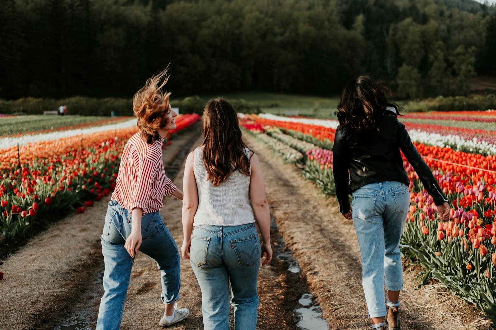 Quelle activité physique pour renforcer ses os après 50 ans ?