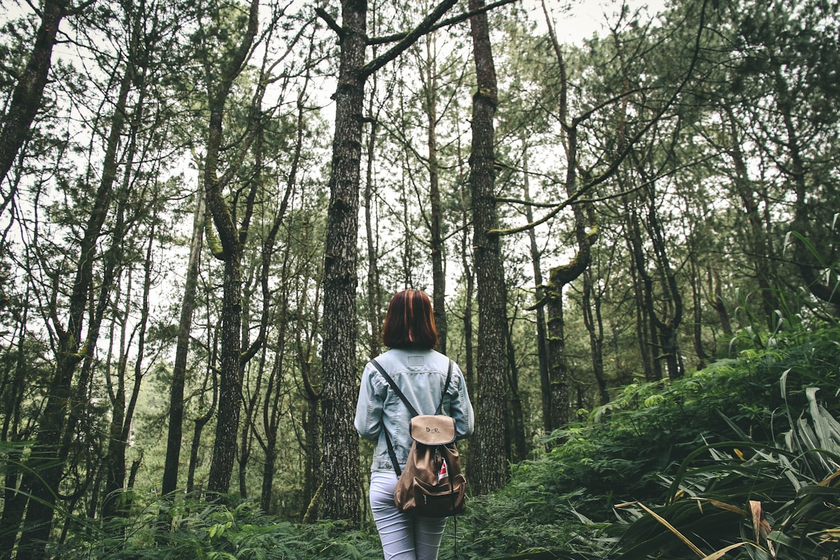 Femme pensive en forêt, un moment de baisse dans les cycles de motivation